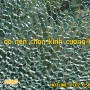 10 lý do nên chọn kính cường lực cho mọi công trình
